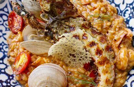 Risotto frutos del mar.