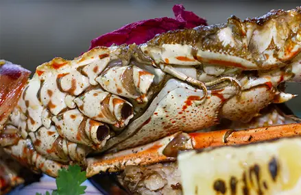 Langostinos.